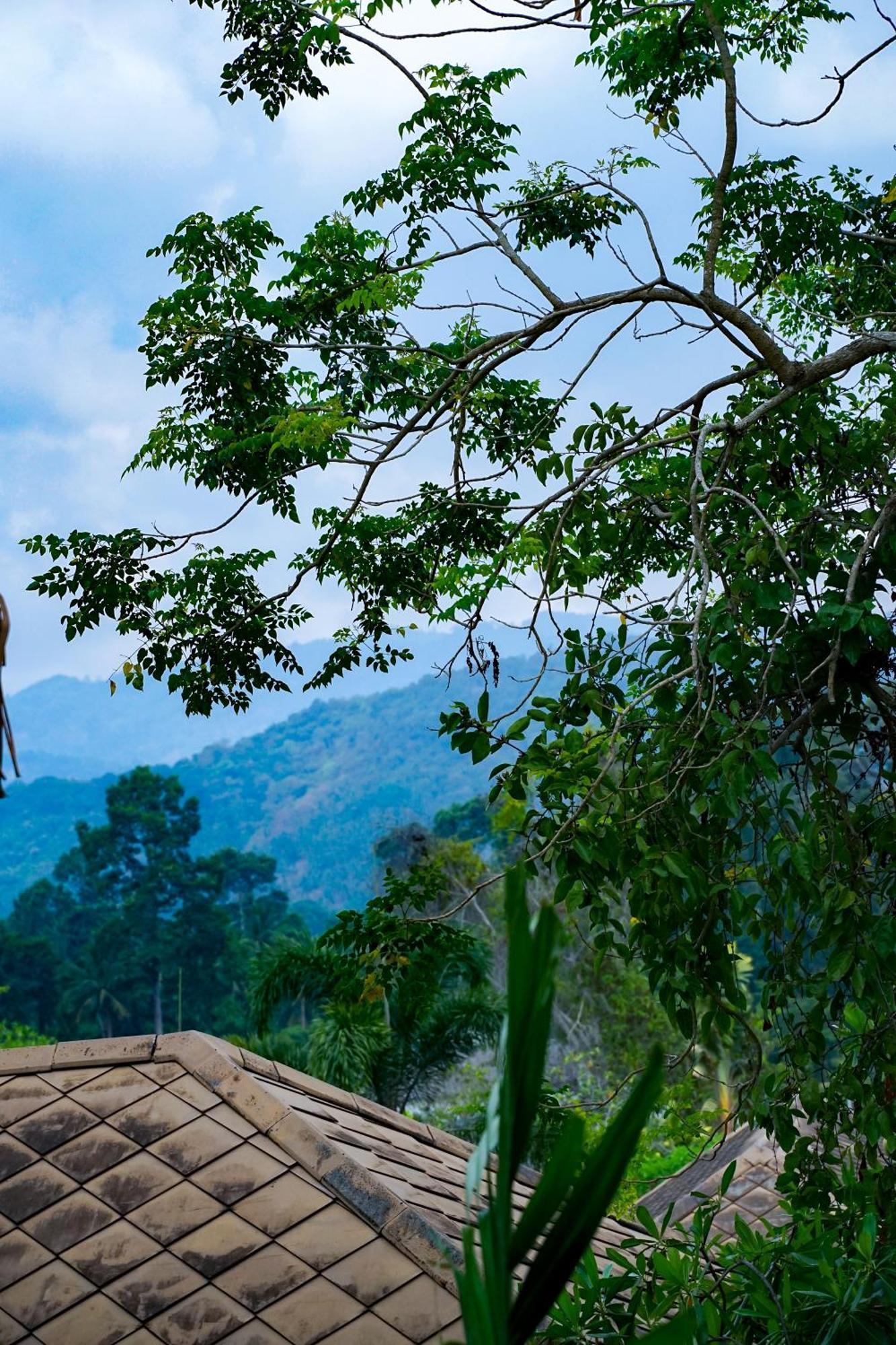 Large 4 Bed Villa Short Walk To Maenam Beach หาดแม่น้ำ ภายนอก รูปภาพ